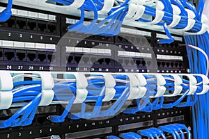 Close up of blue network cables connected to patch panel