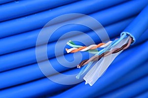 Blue network computer utp cable