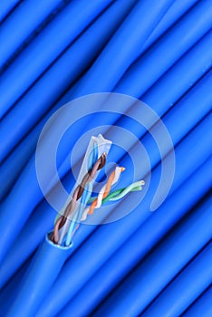 Blue network computer utp cable