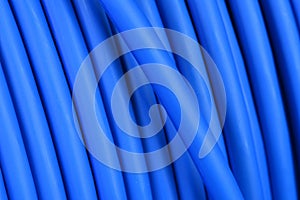 Blue network computer utp cable