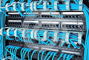 Close up of blue network internet cables connected to router