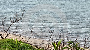 Close-up of blue water with calm ripples.Clear water of sea waves on the beautiful beach.