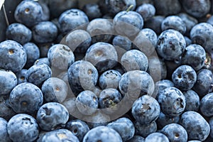 Close up of blueberries