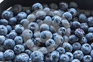 Close up of blueberries