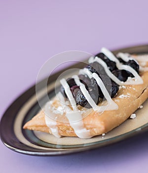 Close Up of Blueberry Dessert Strudel