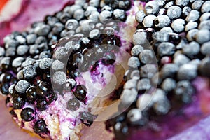 Close-up of Blueberry pie