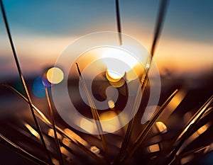 Close-Up of a Blurred Image or Background