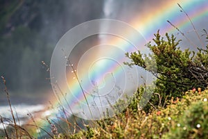 Blurred Rainbow Hologram Background photo