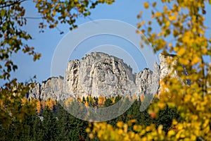 CLOSE UP: Blurry golden branches create a frame for a spectacular mountaintop.