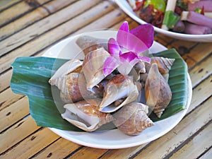 Close up boiled Babylonia areolata on white plate