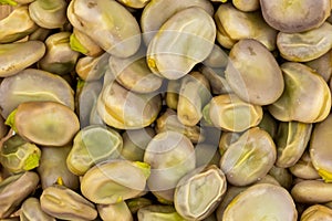 Close up of boiled broad bean on white background