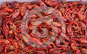 close up boiled crawfish, fresh crawfish boil, red crawfish