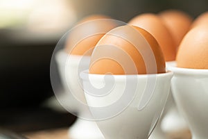 Close up boiled egg in egg cup