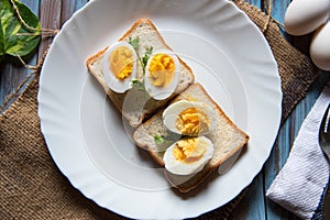 Close  up of boiled eggs on bread slice