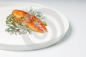 Close-up boiled orange crayfish with dill on a white plate on a white. Cooked freshwater delicious crayfish with aromatic