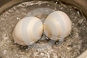 Close up boiling eggs in pot