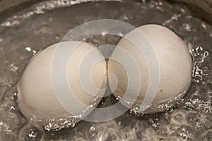 Close up boiling eggs in pot