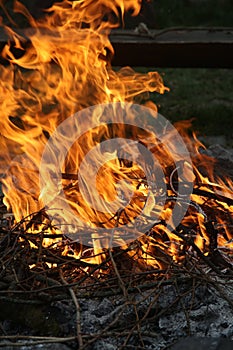 a close up of a bonfire