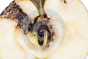 Close up Boring trace of a codling moth Cydia Pomonella, in a half wormy apple