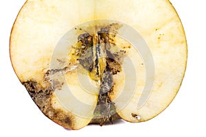 Close up Boring trace of a codling moth Cydia Pomonella, in a half wormy apple. On white background.