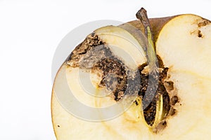 Close up Boring trace of a codling moth Cydia Pomonella, in a half wormy apple. On white background