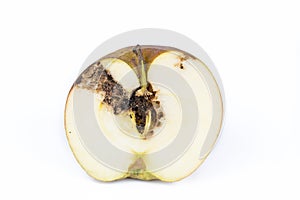Close up Boring trace of a codling moth Cydia Pomonella, in a half wormy apple. On white background. photo