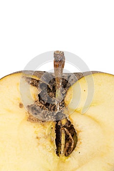 Close up Boring trace of a codling moth Cydia Pomonella, in a half wormy apple. On white background. photo