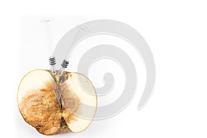 Close up Boring trace of a codling moth Cydia Pomonella, in a half wormy apple. On white background. With syringe. Concept non org