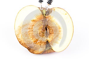 Close up Boring trace of a codling moth Cydia Pomonella, in a half wormy apple. On white background. With syringe. Concept non org photo
