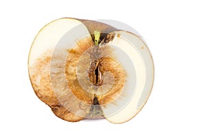 Close up Boring trace of a codling moth Monilia Fructigena, in a half wormy apple. On white background.