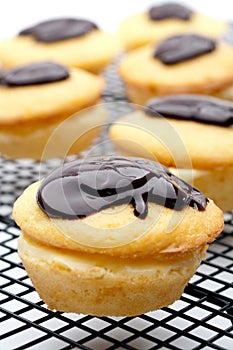 Close-up of a Boston Cream Pie Cupcakes