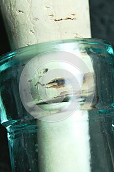 A close up of a bottle stopped with a cork