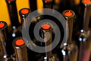 Close-up bottles, wine cellar or alcohol store