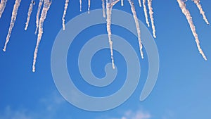 Close up bottom view of melting icicles on blue cloudy sky background. Concept. Early spring natural landscape, end of