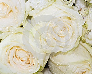 The close up of bouquet of fresh roses,selective focus