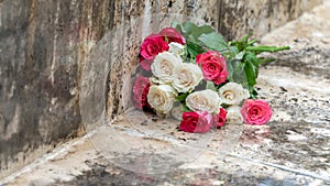 Close-up on a bouquet of roses, white and pink, on a paved outdoor floor