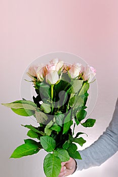 Close-up of bouquet of white, pink roses in hands of young man, brought flowers on date with girlfriend, gives to mom, concept of