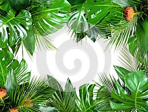 Close up of bouquets of various fresh tropical leaves on white background