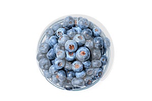 Close up of bowl full of blueberries isolated on white background. Ripe blueberry plate. Organic and healthy food