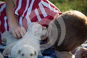 A boy getting a puppy kiss