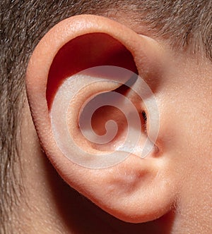 Close up of a boy& x27;s ear. Macro