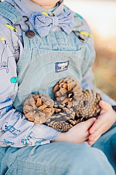 close up boy sitting under a pine tree in the forest in blue jumpsuite and bow tie holding the pine cones