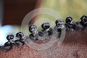 Close up of braided horse mane