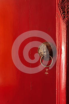 Close up of brass lion head door knocker