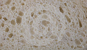 Close-up of bread texture background. Whole grain bread background