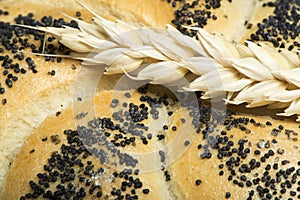 Close up Bread and wheat cereal crops