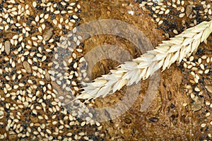 Close up Bread and wheat cereal crops