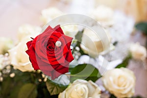 Close-up of bride bouquet of red rose