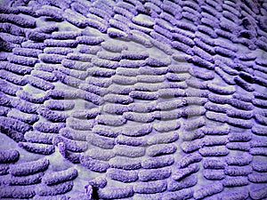 Close-up of Bright Purple Microfiber Carpet Texture