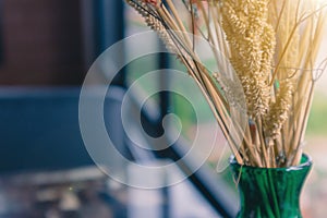 Close up of bright red and yellow dried barley with background of blur green natural garden